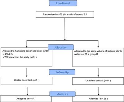 The effect of hamstring donor-site block for functional outcomes and rehabilitation after anterior cruciate ligament reconstruction